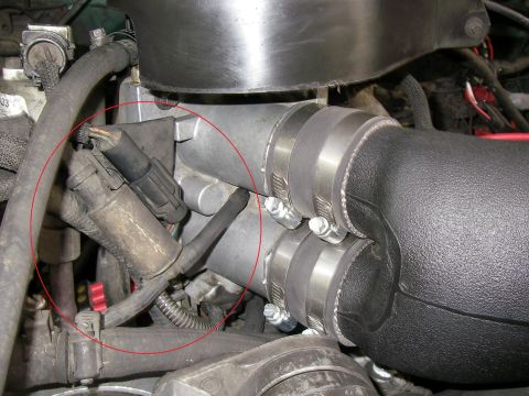 1990 Ford Bronco - Canister Purge Solenoid (CANP)