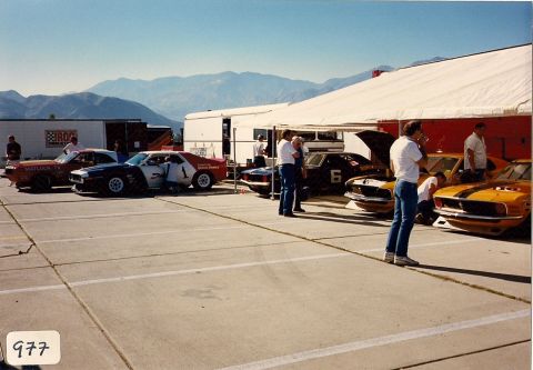 1973 Ford Mustang - Multiple race cars are parked in a row under a white tent, with mountains in the background.
