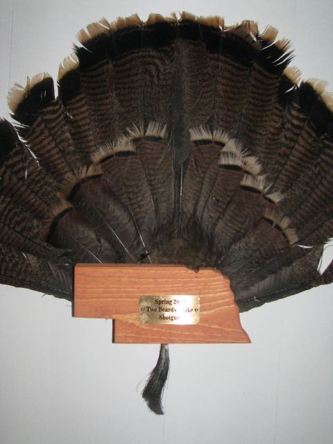 2010 Champion 188 - A mounted turkey tail fan displays a plaque indicating 'Spring 2010' and 'Shotgun'.