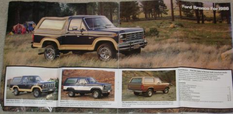 1983 Ford Bronco - Click the normal-sized pic to View Original Size and read the text.