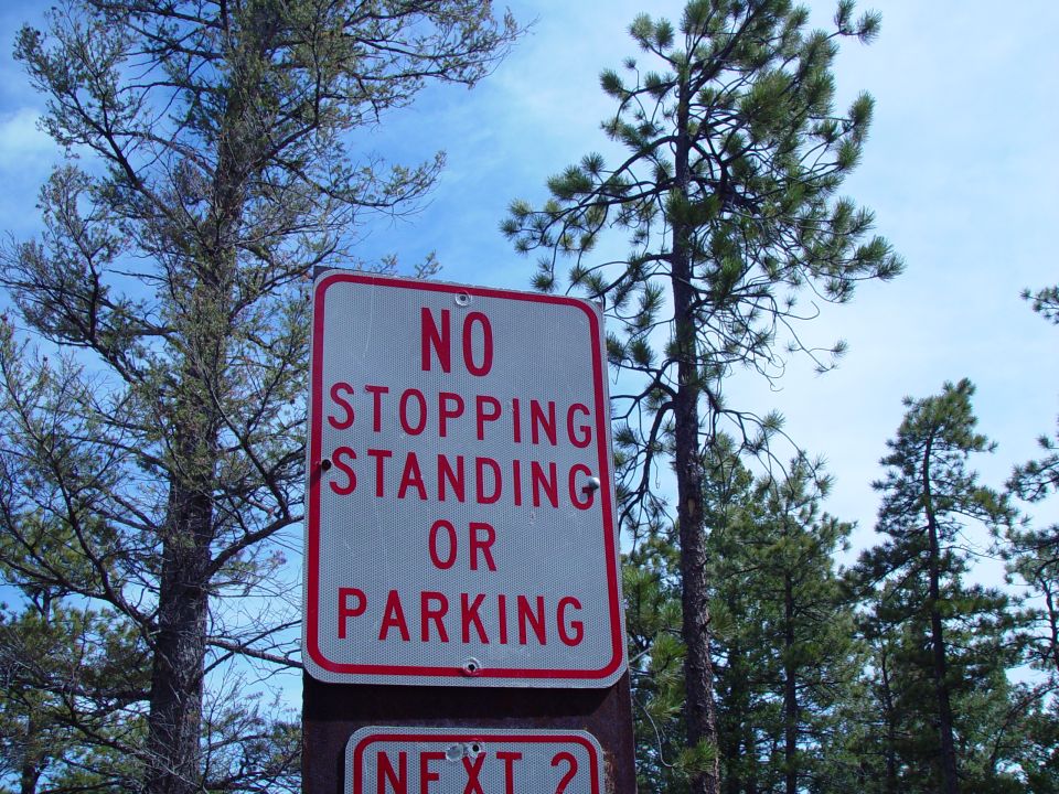 No stopping, standing, or parking sign with trees and sky