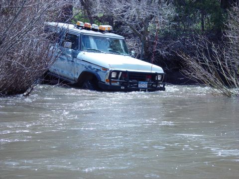 1993 Ford Bronco - A white SUV is partially submerged in a shallow river, surrounded by trees and brush.