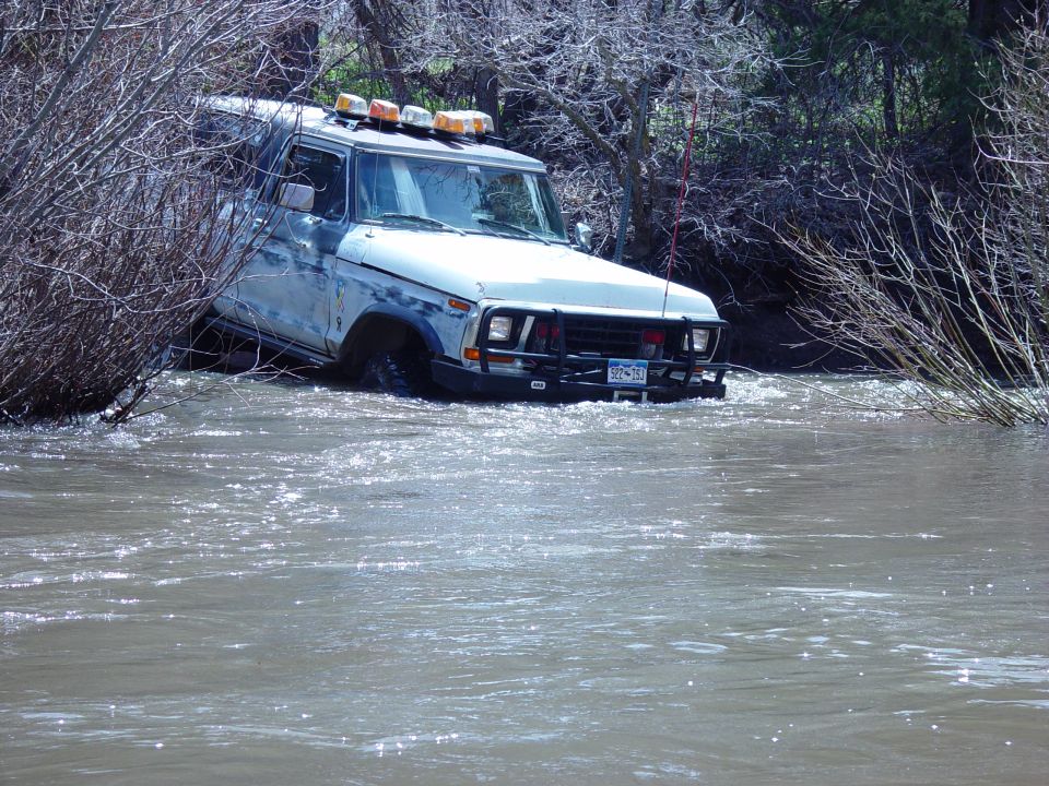 White SUV with brush on left, stuck in murky water, front grille visible