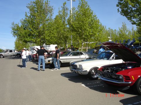 1978 Ford Mustang II - Several classic cars are displayed with their hoods open at an outdoor event.