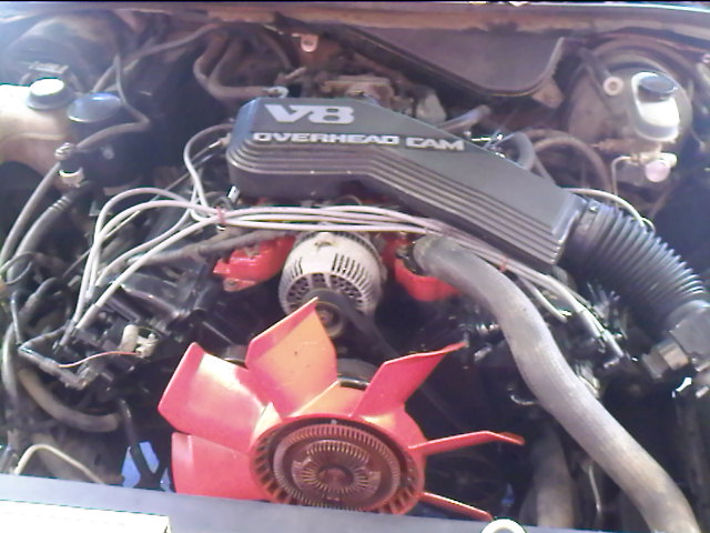 Engine bay with V8 Overhead Cam cover, red cooling fan and alternator