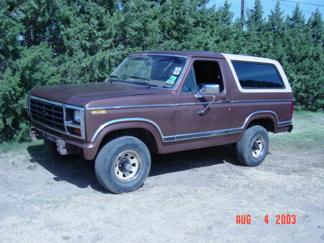 Brown Ford Bronco with tan roof parked on grass in front of evergreen trees, front three-quarter view