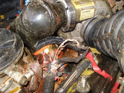 1994 Ford F-350 - Engine compartment shows damaged wiring and hoses with an AlliedSignal part label visible.