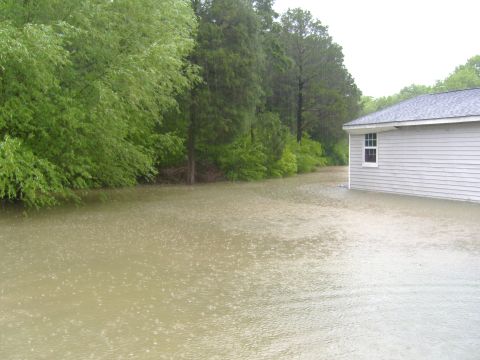 2007 Ford Mustang - Yard is flooded due to heavy rain, with trees and a house visible.