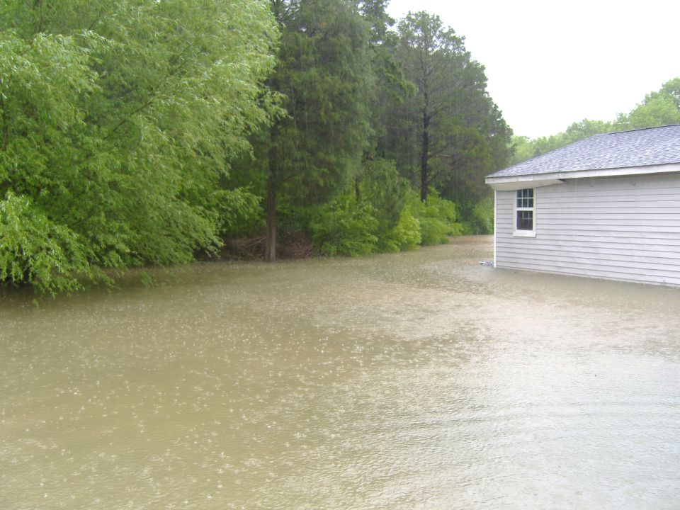 Flooded yard with trees and a house in the background during heavy rain