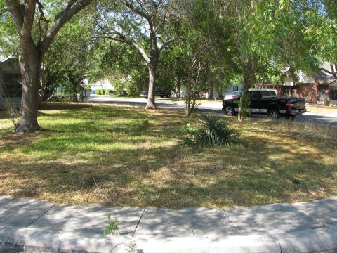 1983 Ford 427 - A black pickup truck is parked on the side of a residential street, partially obscured by trees.