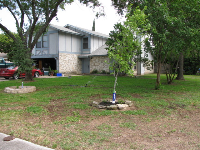 Red car and green truck in driveway of a house