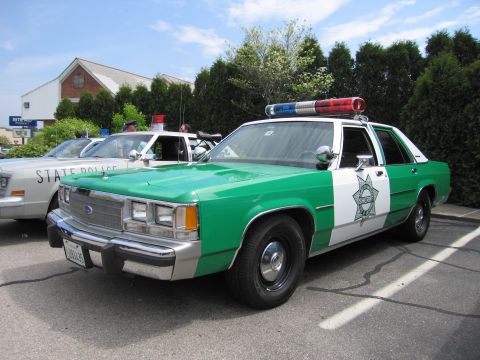 1991 Ford LTD Crown Victoria - green-and-white Ford full-size police sedan with a sheriff-star door emblem and roof lights parked at an outdoor show.