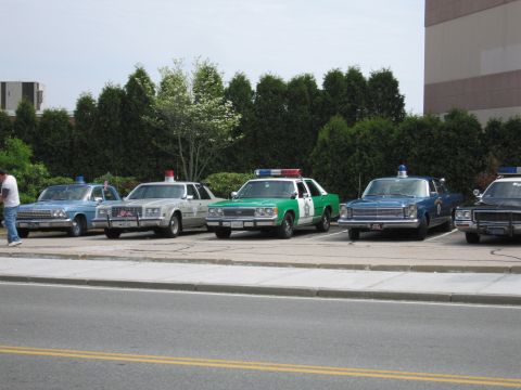 1991 Ford LTD Crown Victoria - line of vintage police sedans, including a green-and-white car, parked along a street curb in front of hedges.