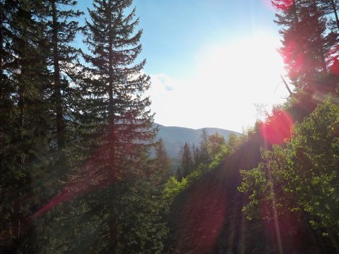 1994 Ford Bronco - A bright sun illuminates a mountain landscape surrounded by dense pine forests.