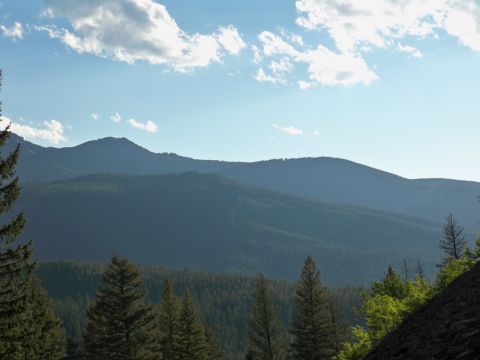 1994 Ford Bronco - A vast landscape of mountains and dense forest stretches under a bright, cloudy sky.