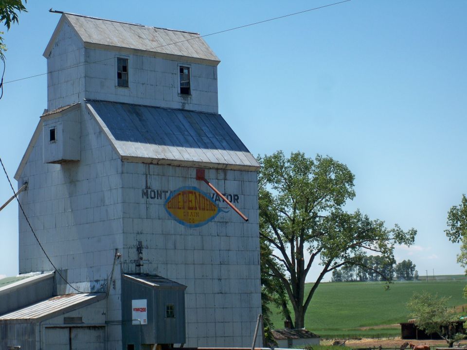 old grain elevator with 'MONTANA ELEVATOR' logo, green fields, and trees under a blue sky