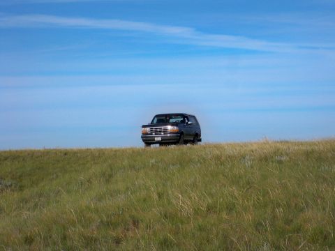 1994 Ford Bronco - Dark SUV drives on a grassy hill under a clear blue sky.