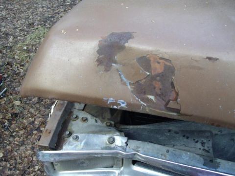 1976 Ford F-150 - The hood of a brown 1976 Ford F-150 shows extensive rust and peeling paint, indicating significant wear and tear.