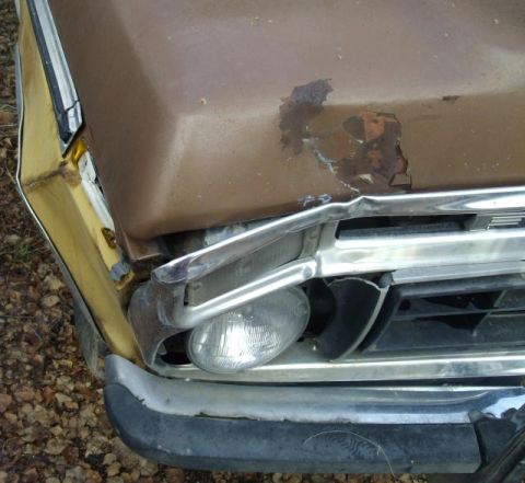 1976 Ford F-150 - Front view of a brown 1976 Ford F-150 showing significant rust and damage to the hood and fender.
