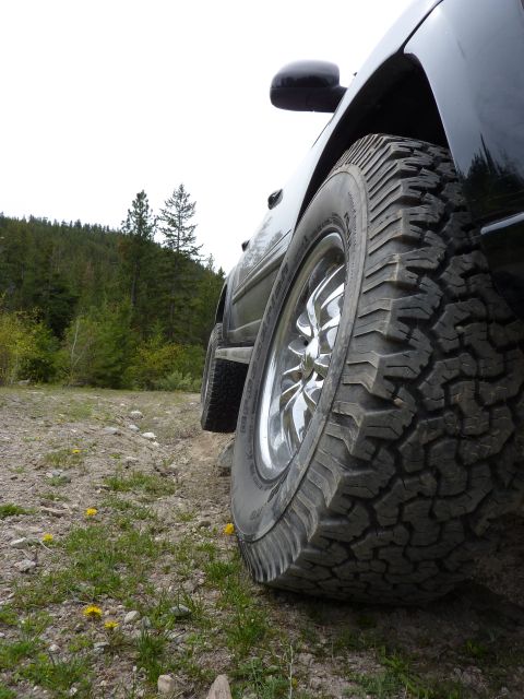 2002 Toyota Sequoia photo