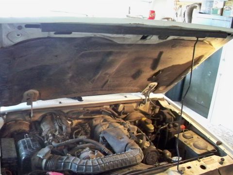 1994 Ford Explorer - The engine bay of a 1994 Ford Explorer is visible with the hood raised, revealing the engine and surrounding parts.