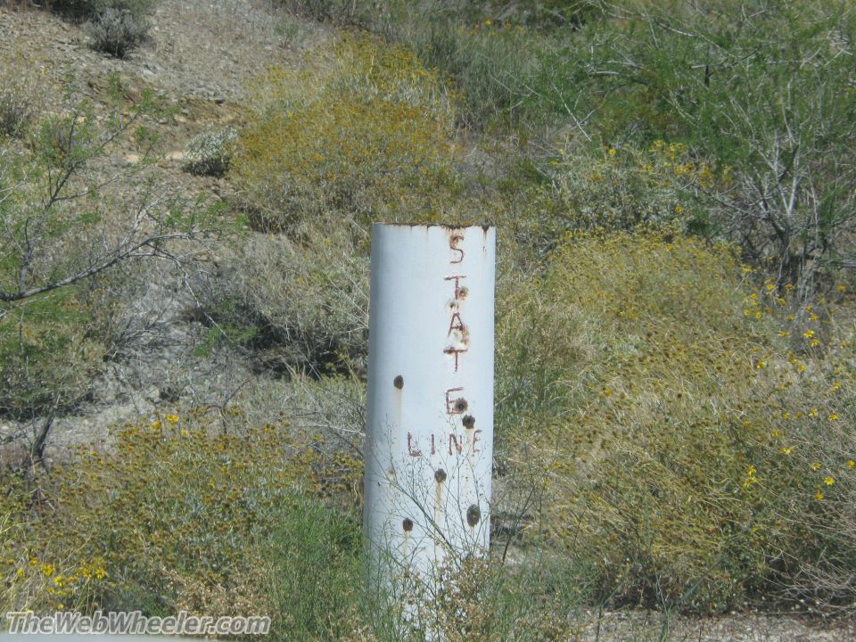 White metal post with 'STATE LINE' painted on it, surrounded by dry brush and small yellow flowers