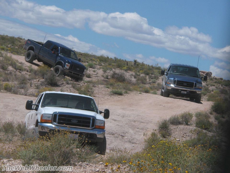 Three Ford trucks driving off-road, one white in foreground, two blue on hill