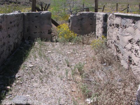 1996 Ford C-350 (Centurion Conversions) - Abandoned concrete structures in a dry, overgrown landscape with scattered yellow wildflowers.