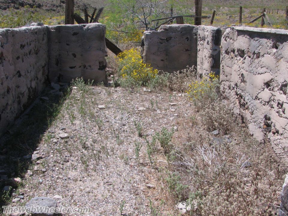 Ruins of concrete structures overgrown with dry brush and yellow wildflowers
