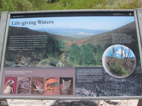 1996 Ford C-350 (Centurion Conversions) - This sign explains the 'Life-giving Waters' of a desert stream and shows the effects of a 2004 wildfire.