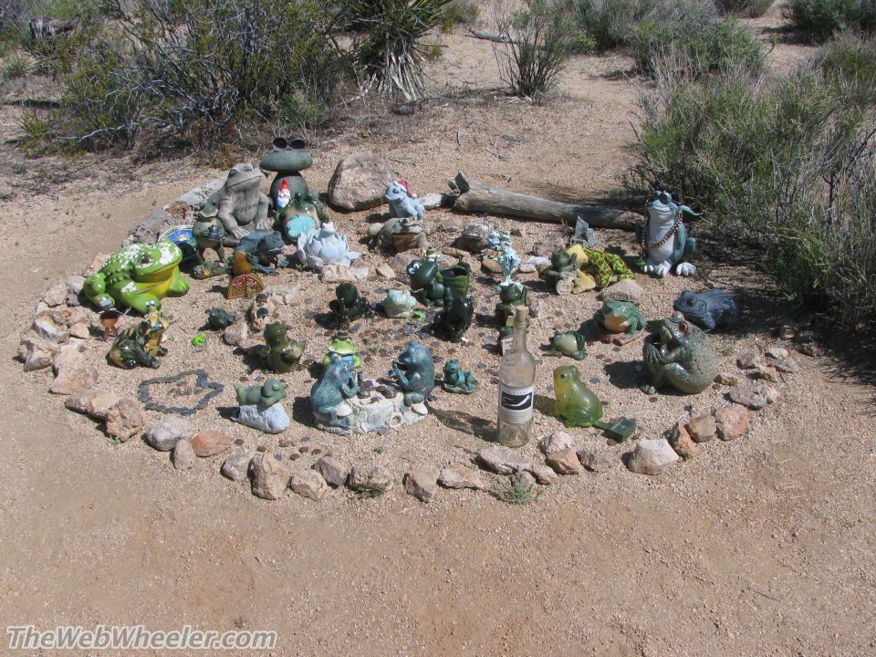 many frog statues arranged in a circle with a bottle in the middle, set in a desert landscape