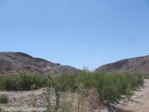 1996 Ford C-350 (Centurion Conversions) - A wide view of a desert scene with mountains in the background and vegetation in the foreground, under a clear blue sky.
