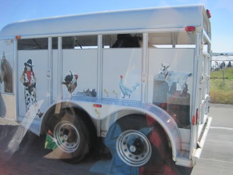 1989 Toyota Pickup/SR5 - This trailer is decorated with various farm animals and a cowgirl graphic.