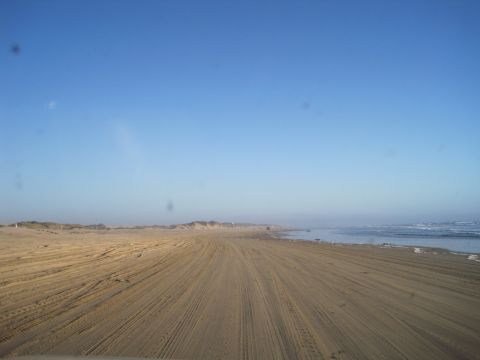 1989 Toyota Pickup/SR5 - Tire tracks mark a path across a sandy beach next to the ocean.