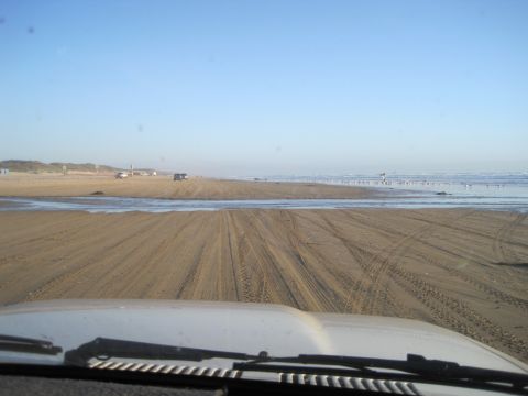 1989 Toyota Pickup/SR5 - Driving on the beach with a clear sky and calm ocean in the background.