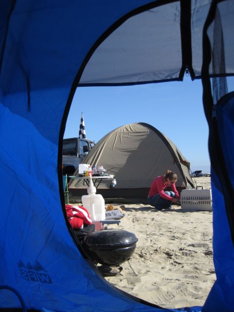 1989 Toyota Pickup/SR5 - View from inside a tent shows a campsite with a Jeep and a checkered flag on a sunny day.