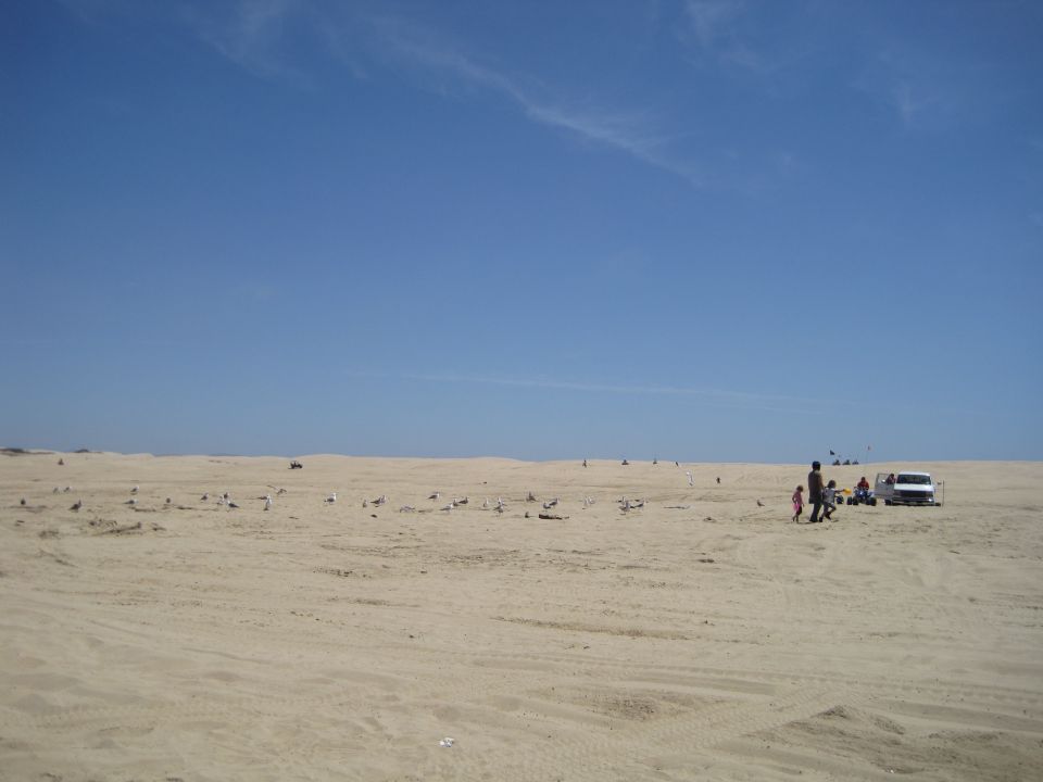 people and a white van on a sandy dune landscape under a blue sky