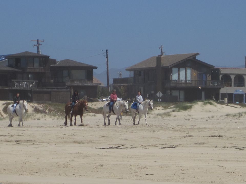 Four horses with riders on a sandy beach with houses in the background