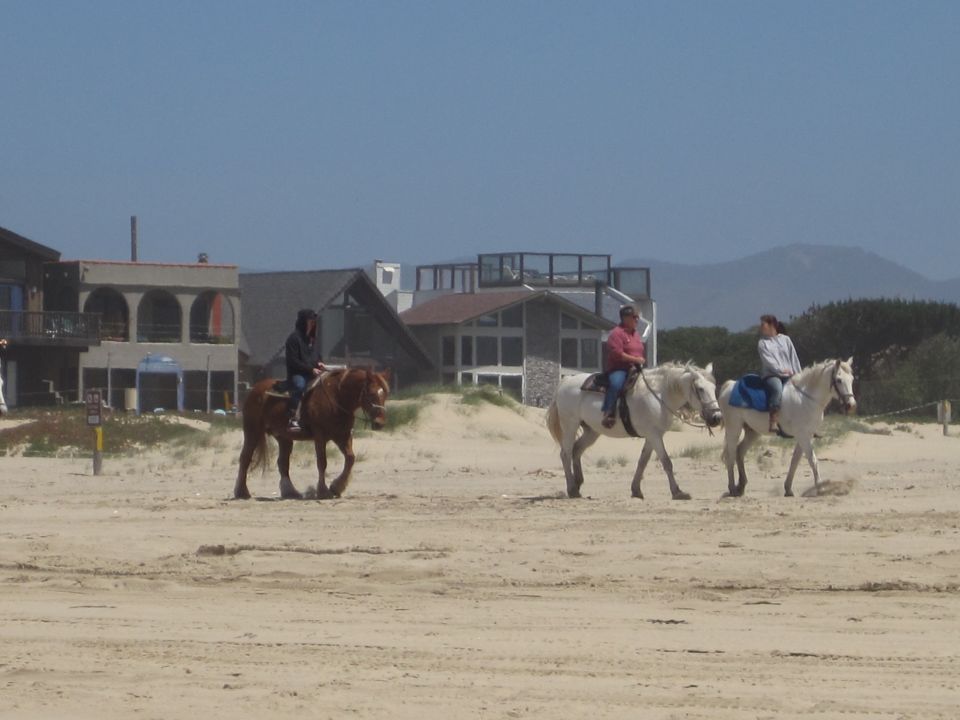 Three horses with riders on a sandy beach with houses in the background