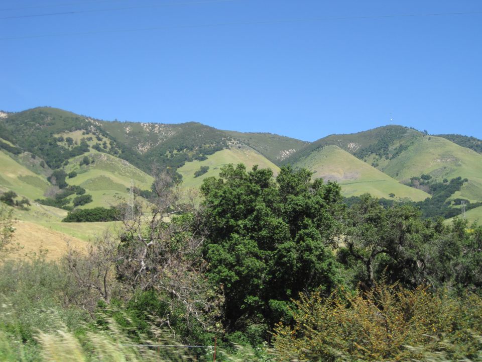 Green rolling hills under a clear blue sky with trees in the foreground