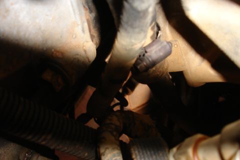1995 Ford Taurus - Engine bay view showing various hoses and connectors, likely part of the cooling or vacuum system.