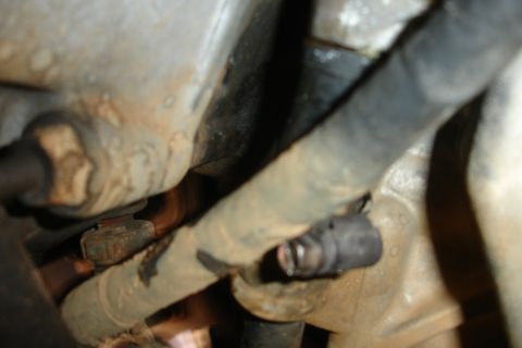 1995 Ford Taurus - Engine bay components, including hoses and metal parts, are visible in this close-up shot.