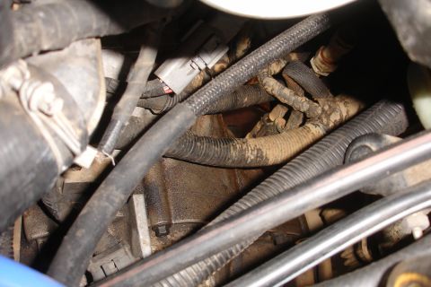 1995 Ford Taurus - A messy collection of hoses and wiring harnesses are visible in the engine bay.