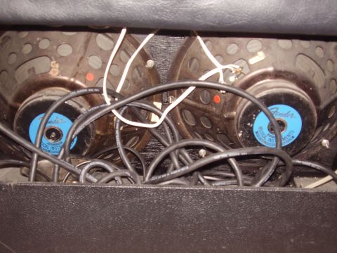 1996 Ford F-150 - Two Fender Musical Instruments speakers are visible within an amplifier cabinet, surrounded by black wiring.