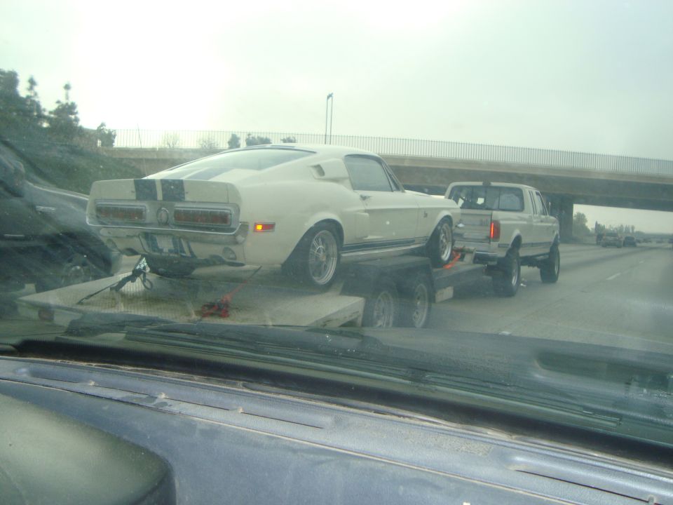 White 1967 Ford Mustang coupe with black racing stripes on trailer, towed by white pickup truck