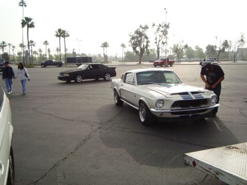 1986 Ford Bronco - A white 1967 Shelby GT500 with blue racing stripes is parked in a lot with other vehicles.