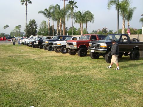 1986 Ford Bronco - Several generations of Ford Broncos and trucks are lined up on a grassy field under palm trees.