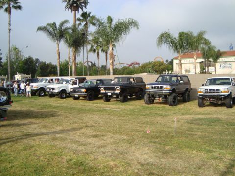 1986 Ford Bronco - A lineup of Ford Bronco SUVs and pickup trucks are parked on a lawn under palm trees.