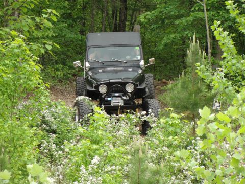 1967 Ford Mustang - A black Jeep CJ-7 navigates a wooded trail surrounded by lush green foliage and white wildflowers.