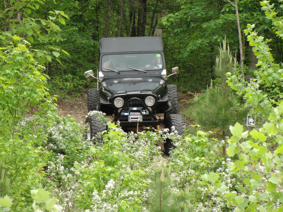 Black Jeep CJ-7 with winch on a wooded trail